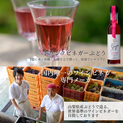 【蔵元直送】プロ御用達!ワインビネガー・バラエティ5本セット〜調味料&飲む酢〜 世界農業遺産認定地域