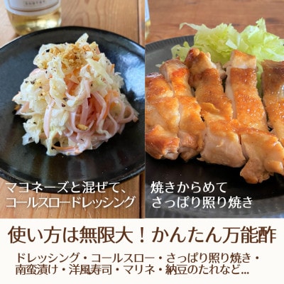 【簡単・時短おうちごはん応援!】ピクルスワインビネガー5本セット〈自社醸造ワインビネガー使用〉