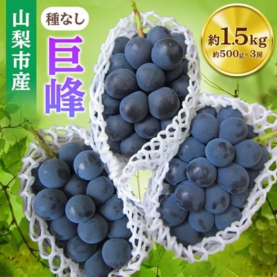 山梨市産「巨峰(種なし)」詰め合わせ(約500g×3房)