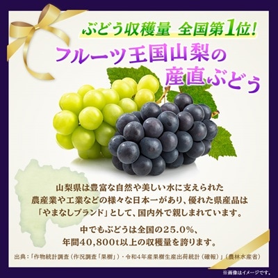 山梨市産「巨峰(種なし)」詰め合わせ(約500g×3房)