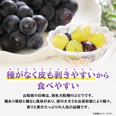 山梨市産「巨峰(種なし)」詰め合わせ(約500g×3房)