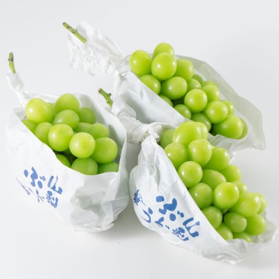 山梨市産「シャインマスカット(種なし)」 約1.65kg (約550g×3房)