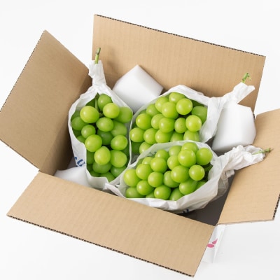 山梨市産「シャインマスカット(種なし)」 約1.65kg (約550g×3房)