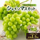 山梨市産「シャインマスカット(種なし)」 約1.5kg (約500g×3房)