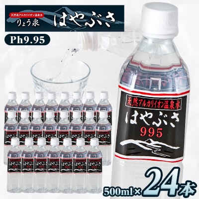 【2025年9月下旬発送】りょう泉はやぶさ　995〈500ml×24本〉