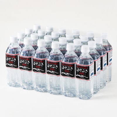 【2025年9月下旬発送】りょう泉はやぶさ　995〈500ml×24本〉