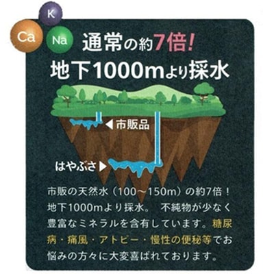 【2025年9月下旬発送】りょう泉はやぶさ　995〈500ml×24本〉