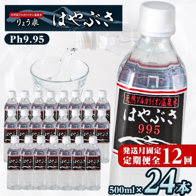 【発送月固定定期便】はやぶさ温泉水0.5L×24本【高アルカリで超軟水、健康と美をサポート】全12回