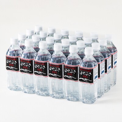 【発送月固定定期便】はやぶさ温泉水0.5L×24本【高アルカリで超軟水、健康と美をサポート】全12回