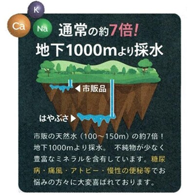 【発送月固定定期便】はやぶさ温泉水0.5L×24本【高アルカリで超軟水、健康と美をサポート】全12回