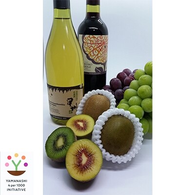 山梨市特産ワイン赤 白2本と フルーツファーム豊国園 の旬の季節のフルーツセット お礼品詳細 ふるさと納税なら さとふる