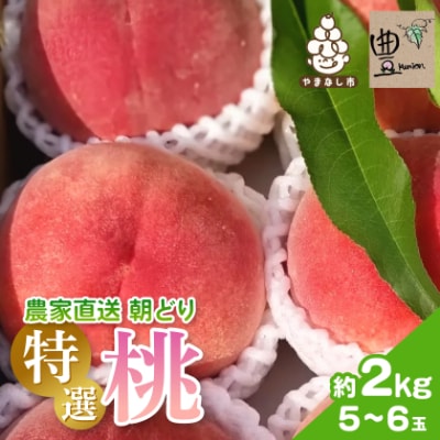 農家直送朝どり桃!大きくて甘い特選桃5～6玉入り山梨市産地直送約2kg箱