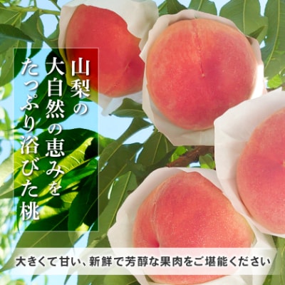 農家直送朝どり桃!大きくて甘い特選桃5～6玉入り山梨市産地直送約2kg箱