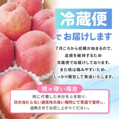 農家直送朝どり桃!大きくて甘い特選桃5～6玉入り山梨市産地直送約2kg箱
