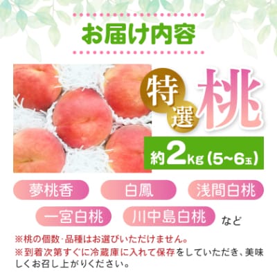 農家直送朝どり桃!大きくて甘い特選桃5～6玉入り山梨市産地直送約2kg箱