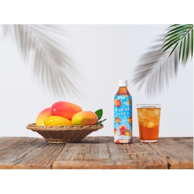 サーフ　トロピカるルイボス500ml×24本　マンゴー果汁使用、糖質・カロリー・カフェインゼロ