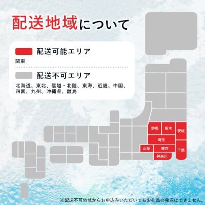 【毎月定期便】【関東のみお届け】強炭酸水レモン 1L 12本 計12LサーフVOLT(レモン)全6回