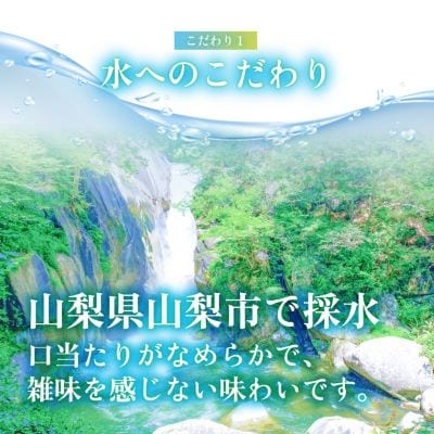 【毎月定期便】【関東のみお届け】強炭酸水レモン 1L 12本 計12LサーフVOLT(レモン)全6回