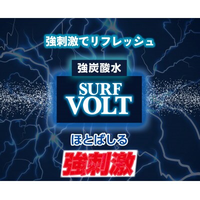 【毎月定期便】【関東のみお届け】強炭酸水 500ml 24本計12LサーフVOLT(ボルト)全12回