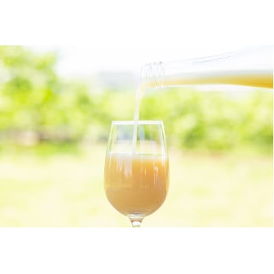 【やまなし内藤農園】完熟ジュエリーピーチネクター白桃500ml×2本