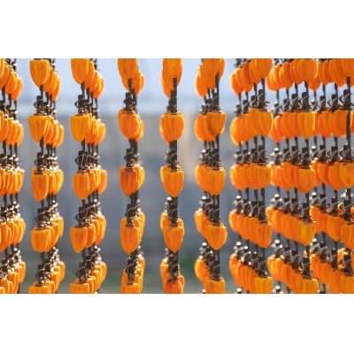 やまなし内藤農園のスウィートフルあんぽ柿