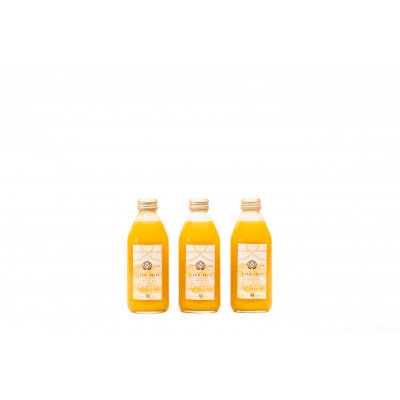 【やまなし内藤農園】完熟ジュエリーピーチネクター黄桃250ml×3本