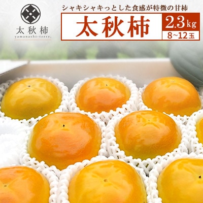 【やまなし内藤農園】太秋柿2.3kg