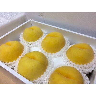 やまなし内藤農園のジュエリーピーチ(R)黄桃 2.1kg