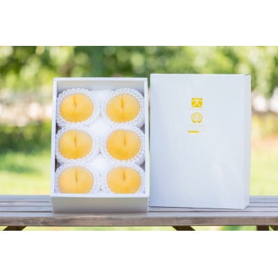 やまなし内藤農園のジュエリーピーチ(R)黄桃 2.1kg