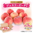 桃 約3.0kg 8～12玉 やまなし内藤農園 ジュエリーピーチ (R) 白桃