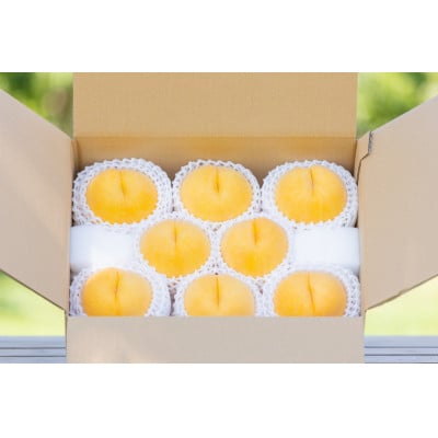 やまなし内藤農園のジュエリーピーチ(R)黄桃 3.0kg