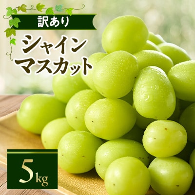 やまなし内藤農園の【訳あり】シャインマスカット 5kg
