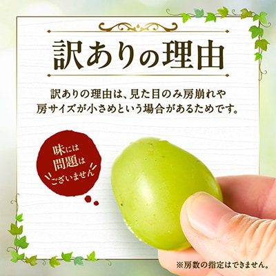やまなし内藤農園の【訳あり】シャインマスカット 5kg