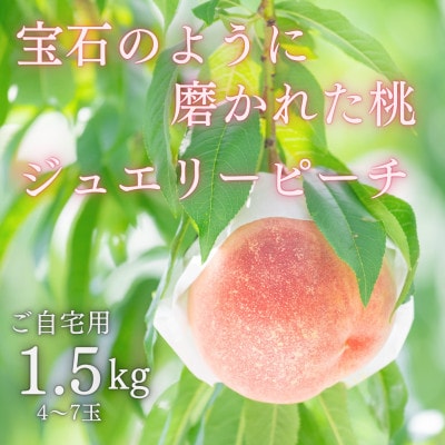 宝石のように磨かれた桃 やまなし内藤農園の白桃【ご自宅用】約1.5kg(4～7玉)