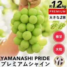 山梨産シャインマスカット 2房(約1.2kg)YAMANASHI PRIDEプレミアム | ふるさと納税のお礼品