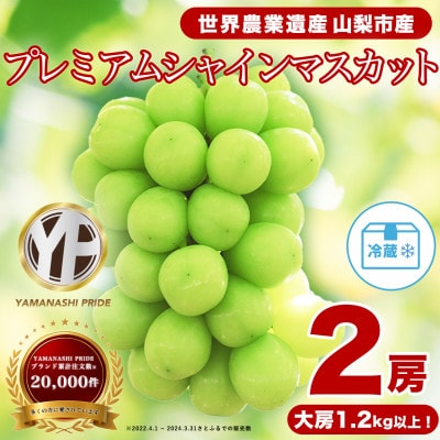 フルーツ王国山梨産厳選 シャインマスカット 2房 (1.2kg以上) プレミアム