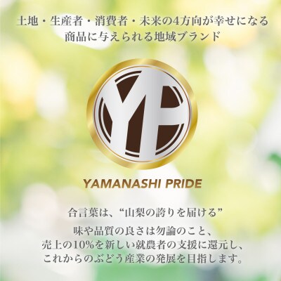 フルーツ王国山梨産厳選 シャインマスカット 2房 (1.2kg以上) プレミアム