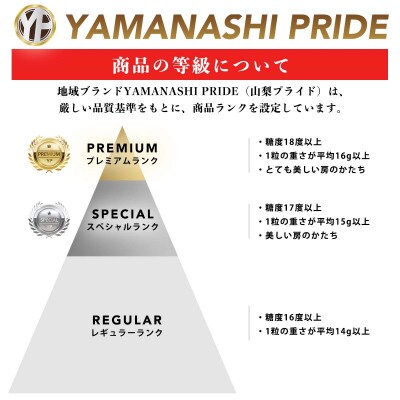 山梨産シャインマスカット 2房(約1.2kg)YAMANASHI PRIDEプレミアム