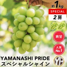 山梨産厳選シャインマスカット2房(約1kg)YAMANASHI PRIDE | ふるさと納税のお礼品