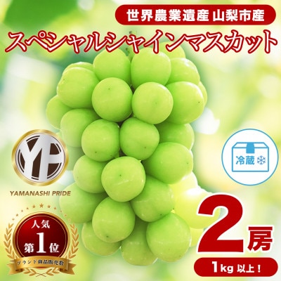 フルーツ王国山梨産厳選 シャインマスカット   2房 (1kg以上)
