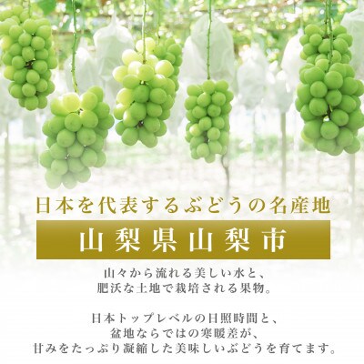 山梨産厳選シャインマスカット 2房(約1kg)YAMANASHI PRIDE