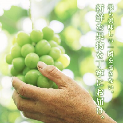 山梨産厳選シャインマスカット 2房(約1kg)YAMANASHI PRIDE