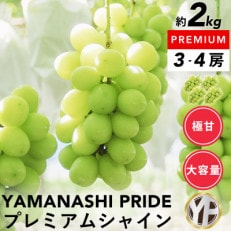 フルーツ王国山梨産厳選シャインマスカット 3～4房 (約 2kg ) YAMANASHI PRIDE | ふるさと納税のお礼品