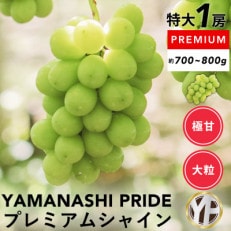 【2024年先行受付】山梨産大房シャインマスカット1房(約700～800g)