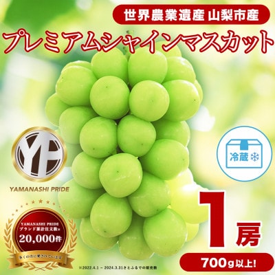 フルーツ王国山梨産厳選 大房シャインマスカット 1房 (約700～800g)
