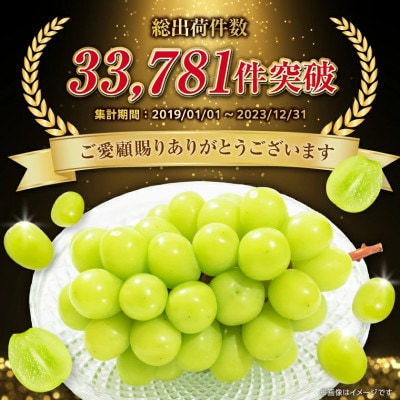 フルーツ王国山梨産厳選 大房シャインマスカット 1房 (約700～800g)