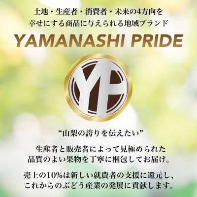 フルーツ王国山梨産厳選 大房シャインマスカット 1房 (約700～800g)