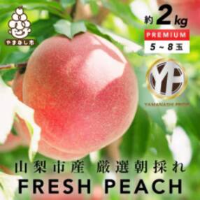 【先行受付】【とろける甘み】YAMANASHI PRIDEプレミアムピーチ 完熟桃 (5～8個)
