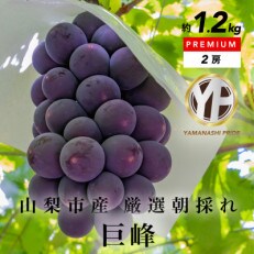 山梨産 厳選 巨峰 2房(約1.2kg)YAMANASHI PRIDEプレミアム