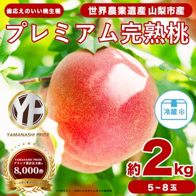 晩生種 約2kg 5~8個 大ぶり歯ごたえ◎ YAMANASHI PRIDE 桃